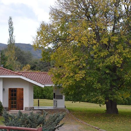 Cabanas Los Algarrobos Вілья-Хенераль-Бельграно Екстер'єр фото